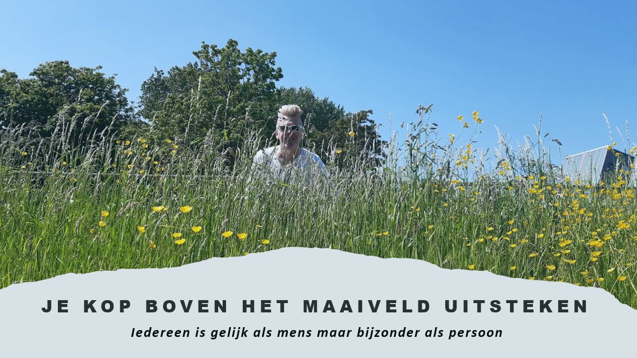 Je kop boven het maaiveld uitsteken blog inspiredbycor